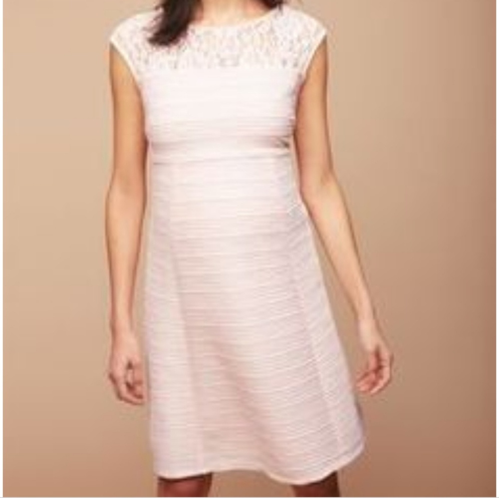 Lace Detail Maternity Dress

Potpourri Pink
 NWT